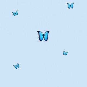 Meet your Posher, Sophie